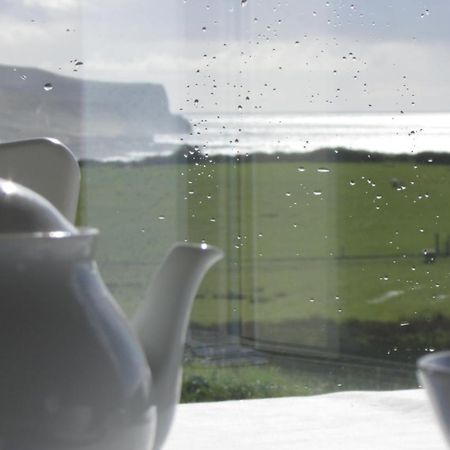 Bed and Breakfast Ballyvoe House Дулін Екстер'єр фото