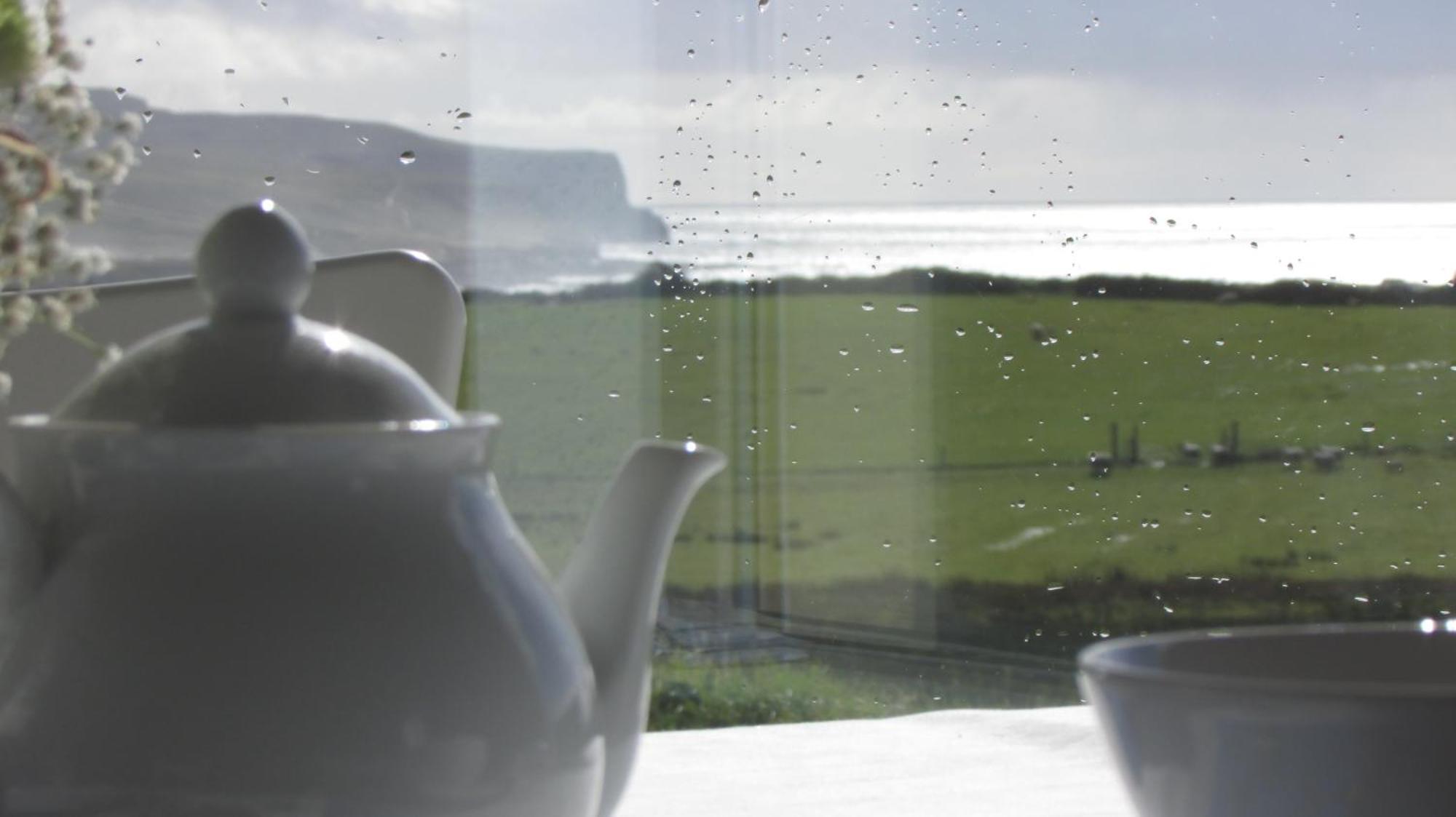 Bed and Breakfast Ballyvoe House Дулін Екстер'єр фото